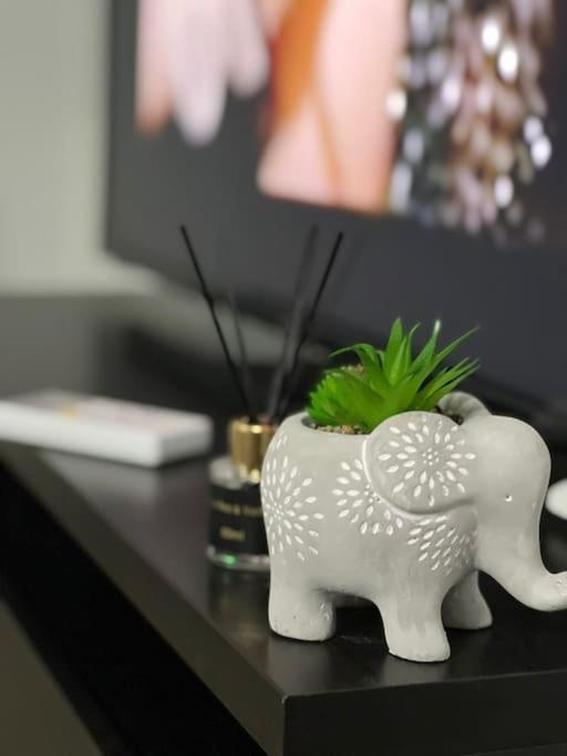 Corporate One Pipera Appartement